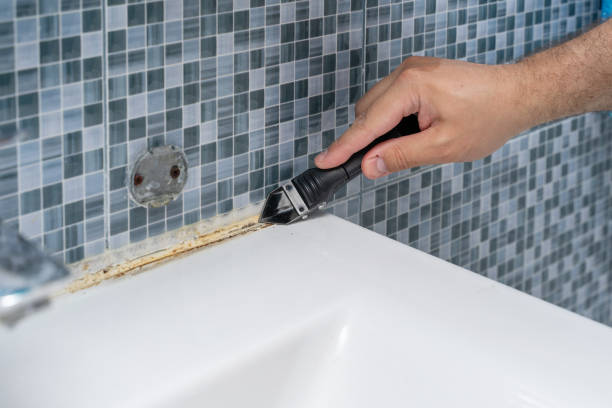 Trusted Charlotte, MI Mold Removal Experts